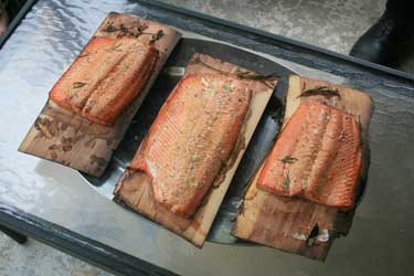 fish salmon